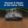 Symphony Pet Vacuum and Steam